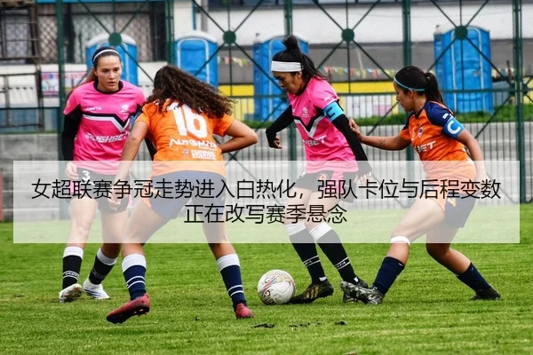 img_1780569358674_5_2_295.jpg